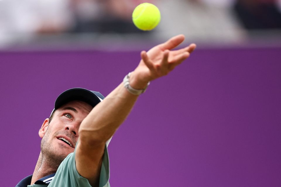 高光表现的 高光表现的